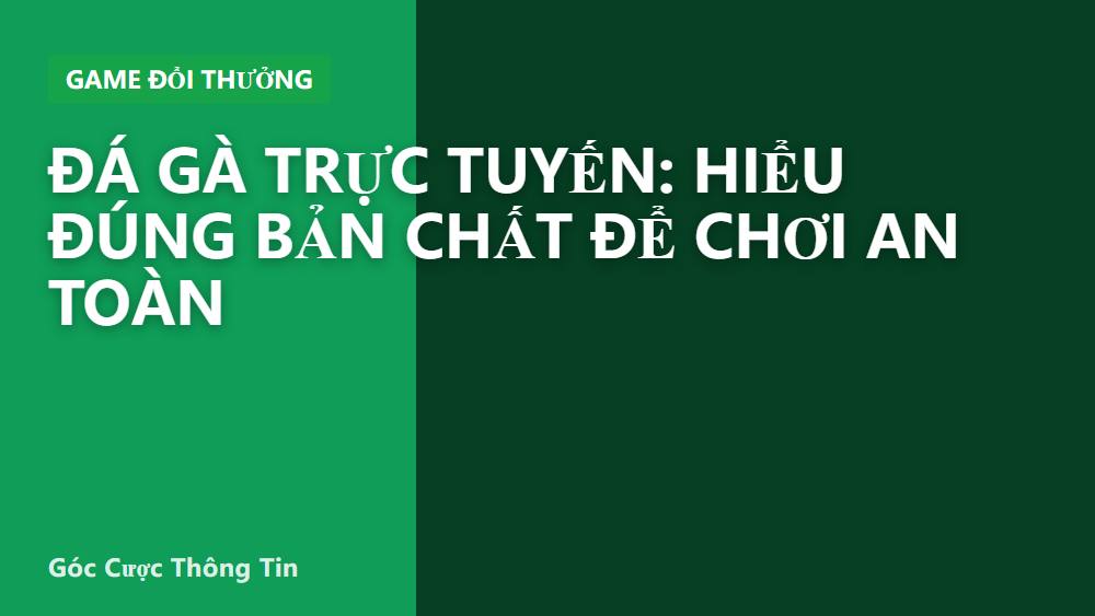 Đá gà trực tuyến: hiểu đúng bản chất để chơi an toàn