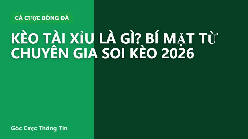 Kèo tài xỉu là gì? Bí mật từ chuyên gia soi kèo 2026