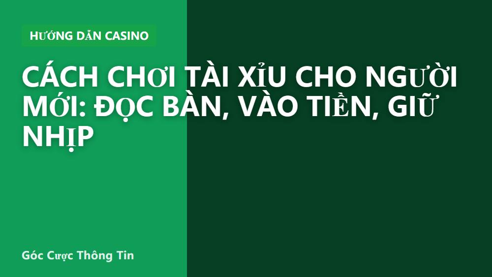 Cách chơi tài xỉu cho người mới: đọc bàn, vào tiền, giữ nhịp